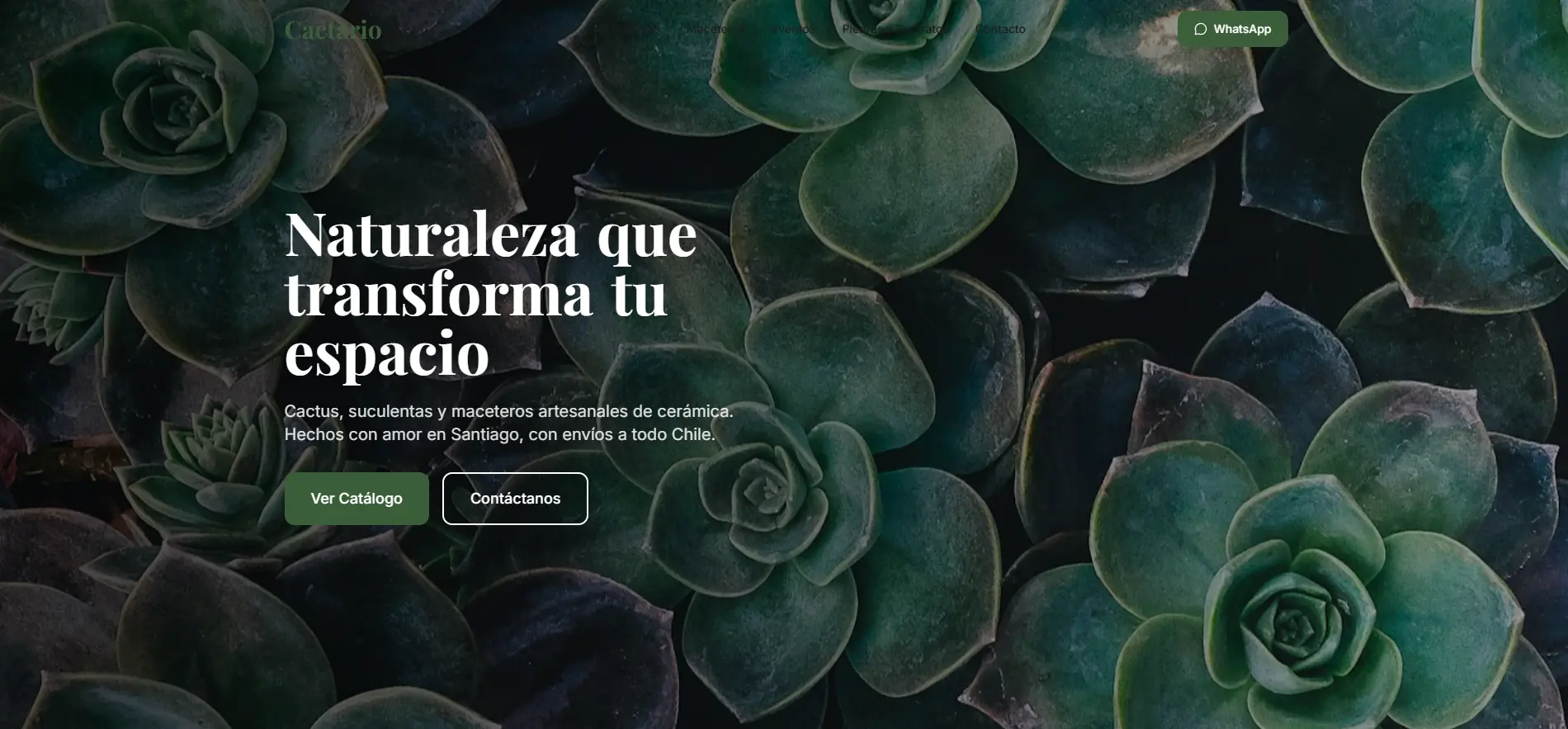 Cactario — nuevo diseño hero con suculentas